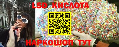 мяу мяу мука Камышлов